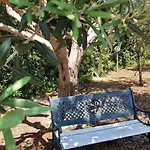 בית הארחה Leale פלמיריו