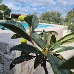 בית הארחה Leale פלמיריו